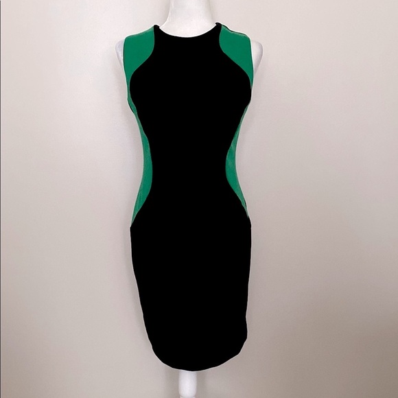 ASDS Elegant Black and Green Sleeveless bodycon Dress - Picture 1 of 7